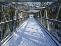 Winter Ravine Walk January 2012