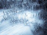 Winter Ravine Walk January 2012