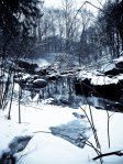 Winter Ravine Walk January 2012