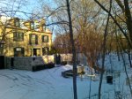 Winter Ravine Walk January 2012