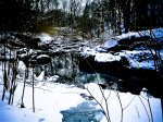 Winter Ravine Walk January 2012