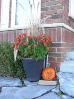 Jack O'Lantern