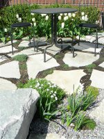 Front garden in Spring