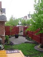 Back garden 