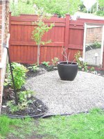 Back garden 
