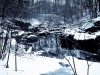 Winter Ravine Walk January 2012