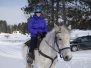Algonquin and Arrowhead Parks in Winter