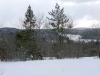 Snowshoeing in Algonquin Park