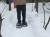 Snowshoeing in Algonquin Park
