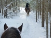 Snow-riding at the edges of Algonquin Park