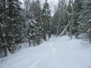 Snow-riding at the edges of Algonquin Park