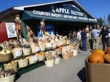 Apple Factory - Harvest