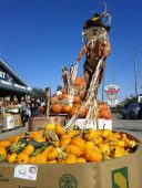 Apple Factory - Harvest