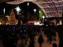 Cavalcade of Lights