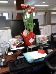 Surprise! This is how Gina found her work space when she returned from the ceremony!