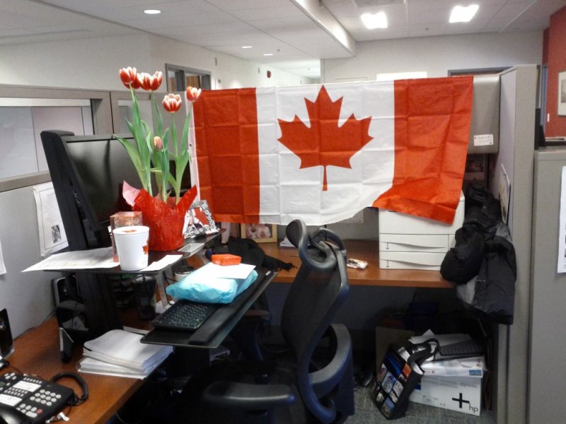 Surprise! This is how Gina found her work space when she returned from the ceremony!