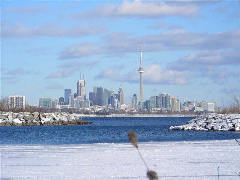 CN Tower from the West in Winter