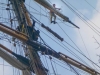 Tall Ships at Windsor