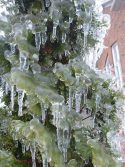 Toronto Ice-Storm 2013