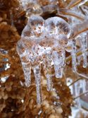 Toronto Ice-Storm 2013