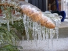Toronto Ice-Storm 2013