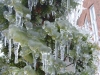 Toronto Ice-Storm 2013