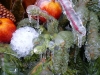 Toronto Ice-Storm 2013