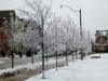 Toronto Ice-Storm 2013