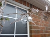 Toronto Ice-Storm 2013
