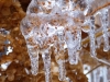 Toronto Ice-Storm 2013