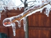 Toronto Ice-Storm 2013