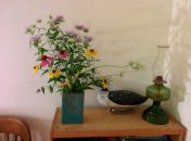 Wildflower Cottage, Near Lincolnville, ME