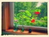 Wildflower Cottage, Near Lincolnville, ME