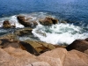 Coast path, Acadia National Park, ME