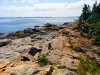 Coast path, Acadia National Park, ME