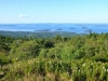 From Cadillac Mountain, Acadia National Park, ME