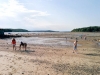 The 'Bar' at low tide, Bar Harbour