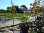 Landscaping - our new front garden