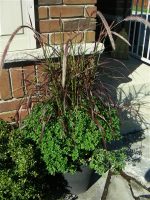 Landscaping - our new front garden