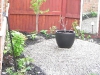 Back garden