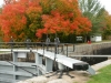 Rideau (1 of 11)