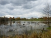 Rideau (2 of 11)