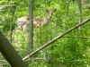 Doris McCarthy Trail to Guildwood
