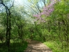 Doris McCarthy Trail to Guildwood