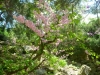 Doris McCarthy Trail to Guildwood