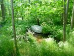 Doris McCarthy Trail to Guildwood