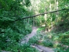 Doris McCarthy Trail to Guildwood