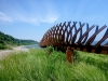 Doris McCarthy Trail to Guildwood