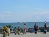 Toronto Shore