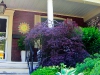 Accommodating the Soul B&B